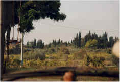 italy.jpg (49401 bytes)