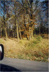 novemberr.jpg (82146 bytes)